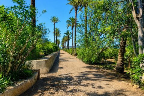 Villa en Cotes, Valencia, Cotes - € 1.200.000 | Ref: PNVL2175 - photo 44